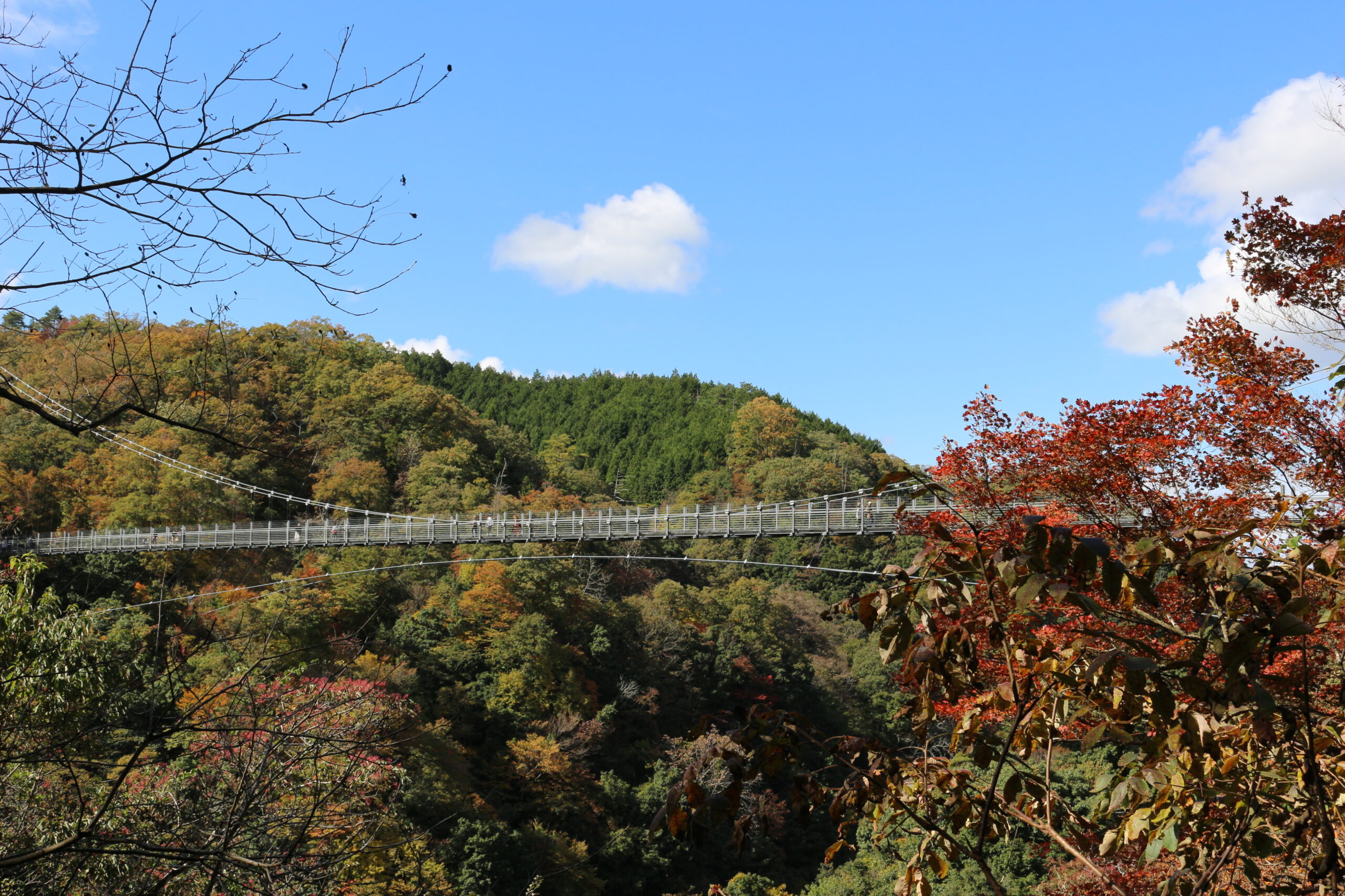 鬼の舌震 舌震の"恋”吊橋