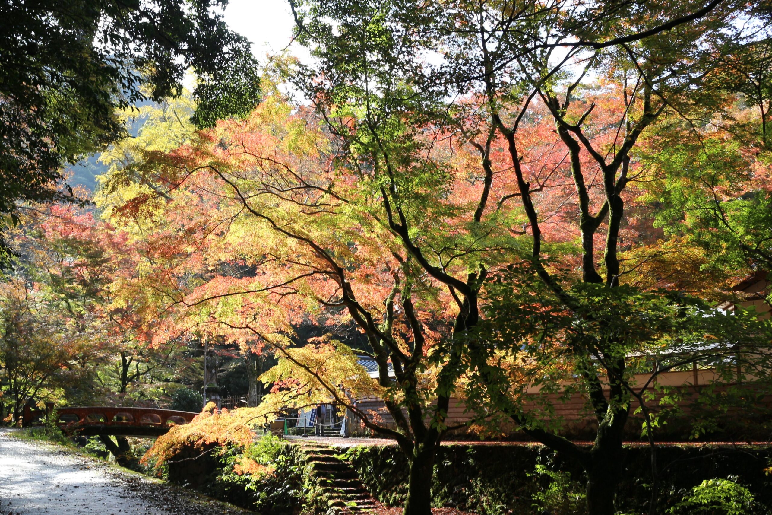 鰐淵寺