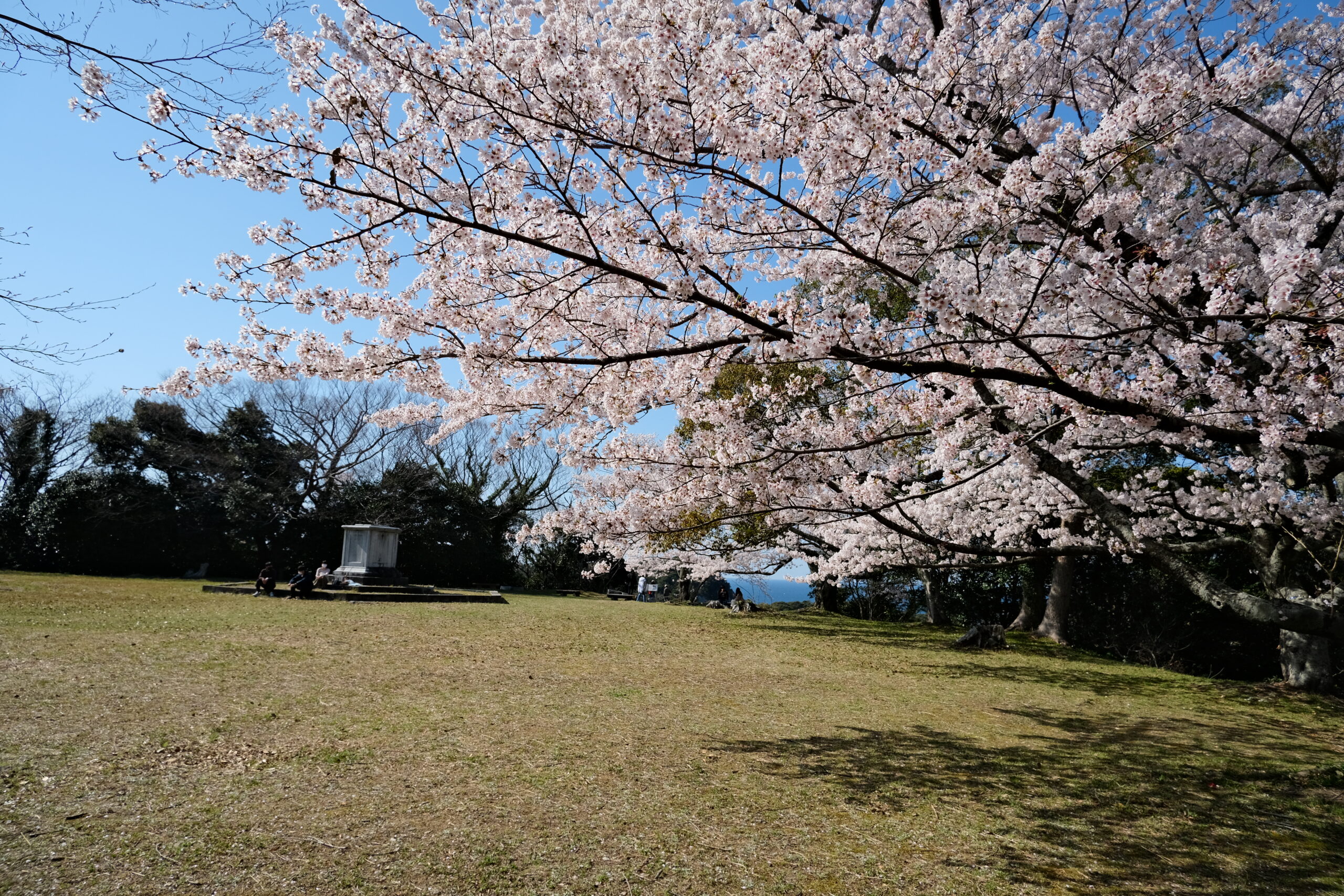 浜田城跡本丸