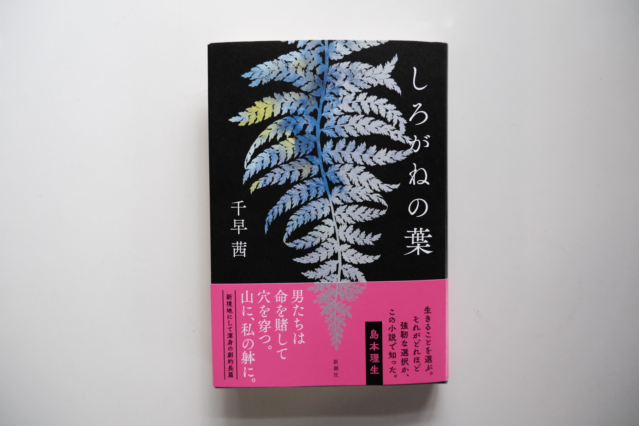 読みたい本】祝！直木賞にノミネート！石見銀山を舞台にした小説