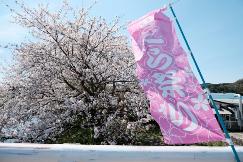 大田市長久町の桜