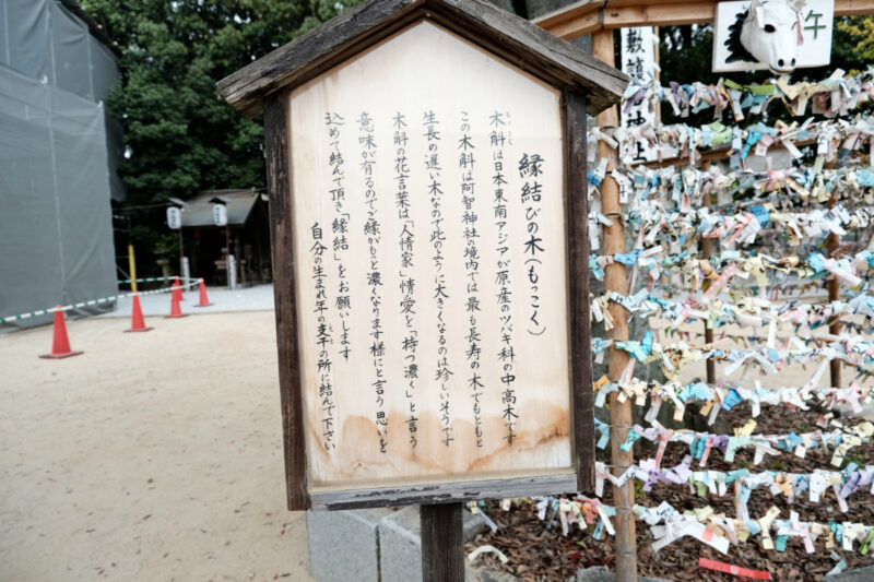 阿智神社おみくじ掛け