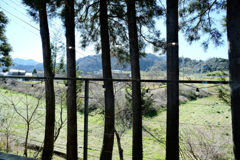 TRATTORIAキツツキ　窓から見える景色　杉の木の間から田んぼが見えます