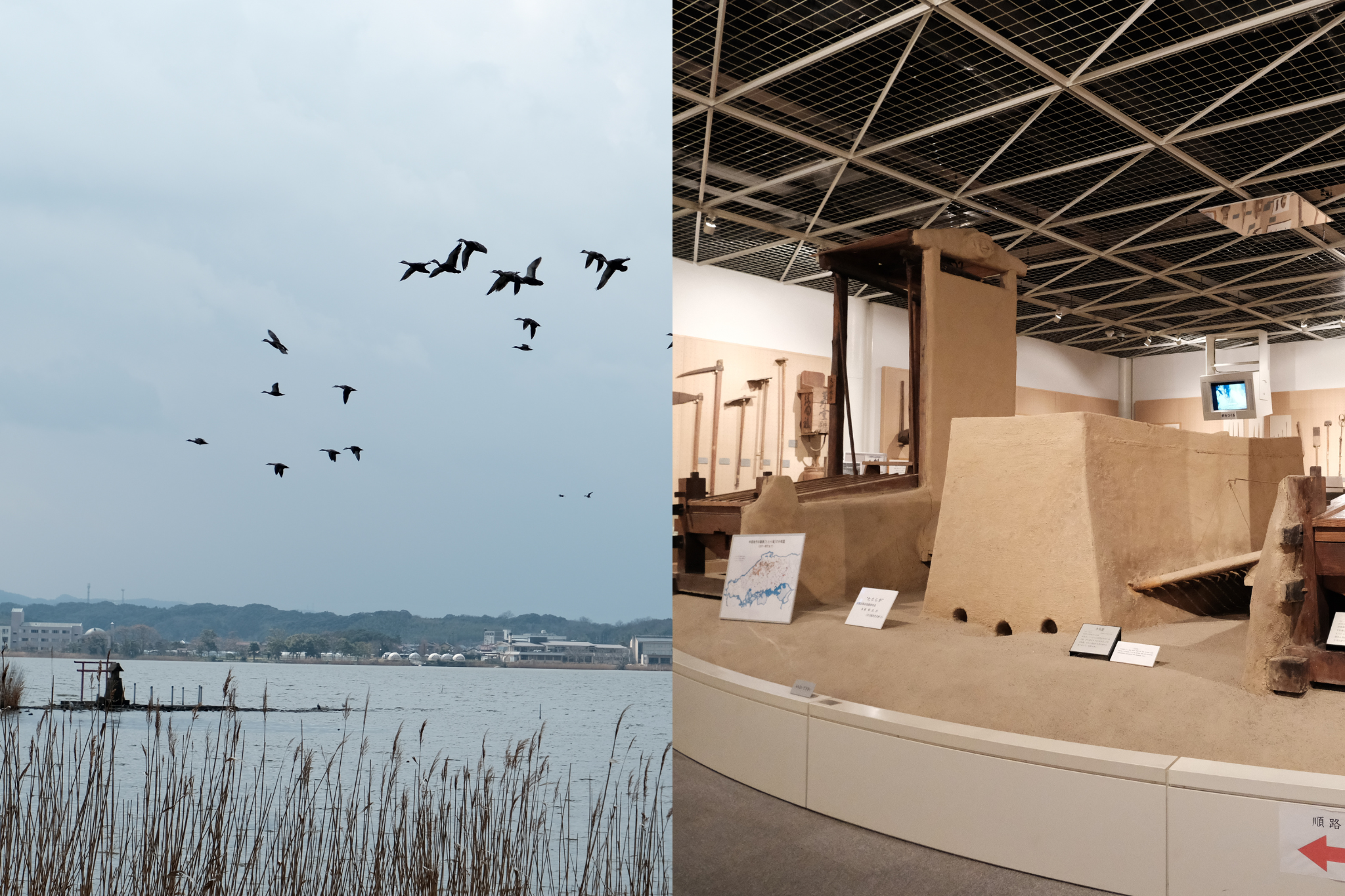 「神西湖」&「和鋼博物館」