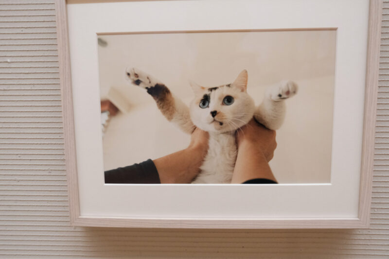 平間至写真展