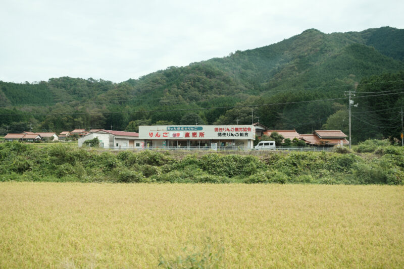 SLやまぐち号景色