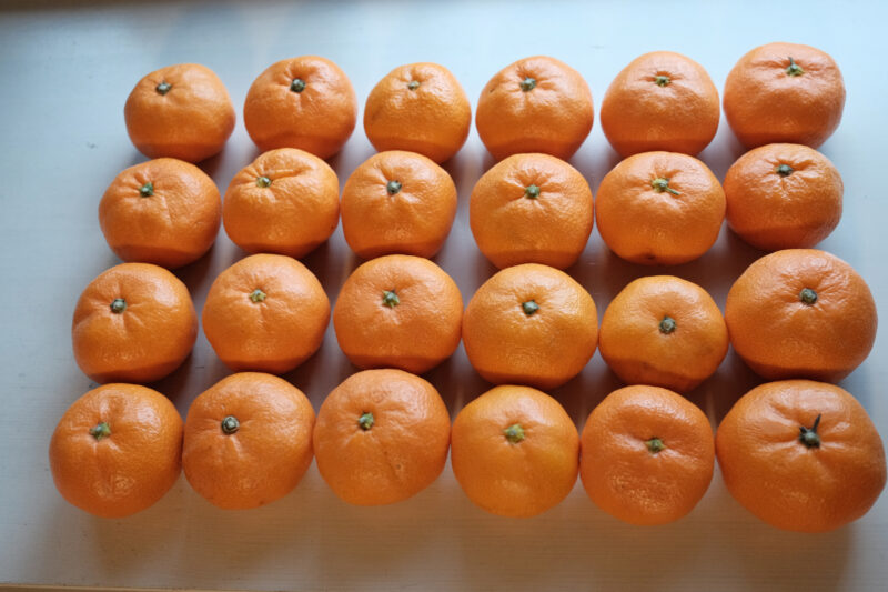 マルヨシショッピングセンターのみかん