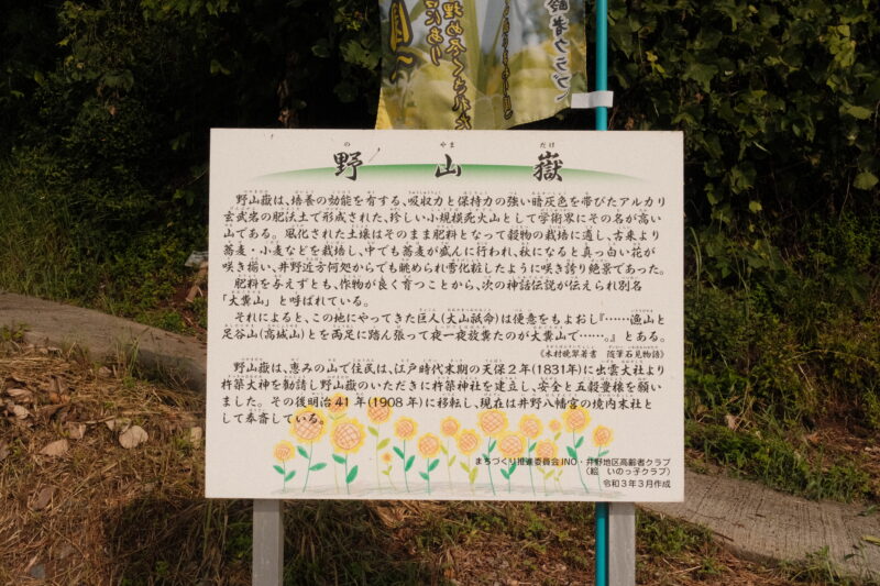 野山嶽のひまわり園